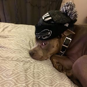 Meet your Posher, Richard